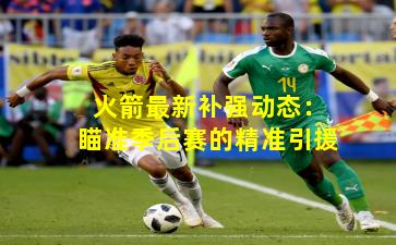 火箭最新补强动态：瞄准季后赛的精准引援