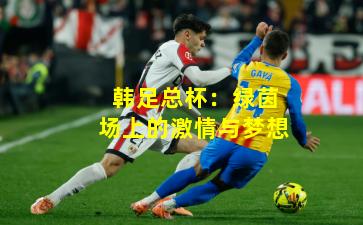 韩足总杯：绿茵场上的激情与梦想