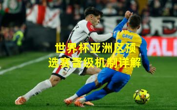 世界杯亚洲区预选赛晋级机制详解