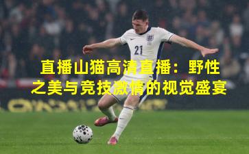 直播山猫高清直播：野性之美与竞技激情的视觉盛宴