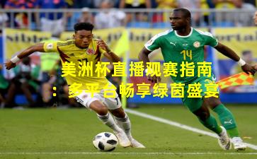 美洲杯直播观赛指南：多平台畅享绿茵盛宴