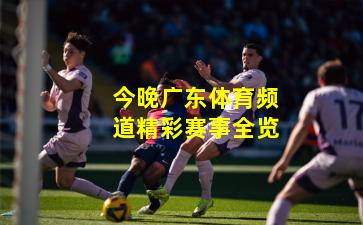 今晚广东体育频道精彩赛事全览