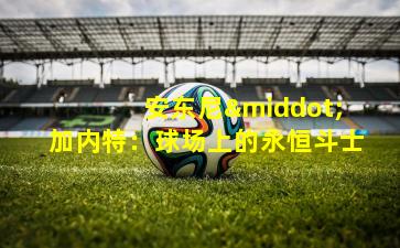 安东尼·加内特:球场上的永恒斗士