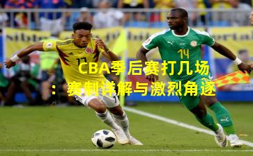 CBA季后赛打几场:赛制详解与激烈角逐