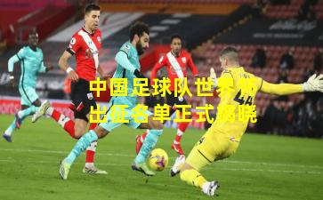 中国足球队世界杯出征名单正式揭晓