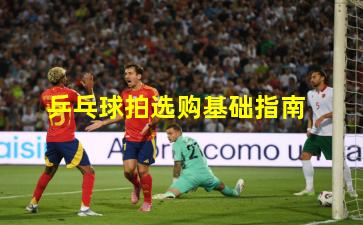 乒乓球拍选购基础指南