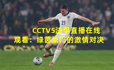 CCTV5法甲直播在线观看：绿茵豪门的激情对决