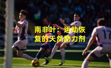 南非叶：运动恢复的天然助力剂