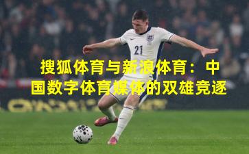 搜狐体育与新浪体育：中国数字体育媒体的双雄竞逐