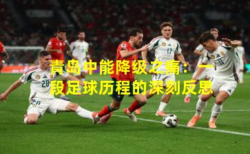 青岛中能降级之痛：一段足球历程的深刻反思